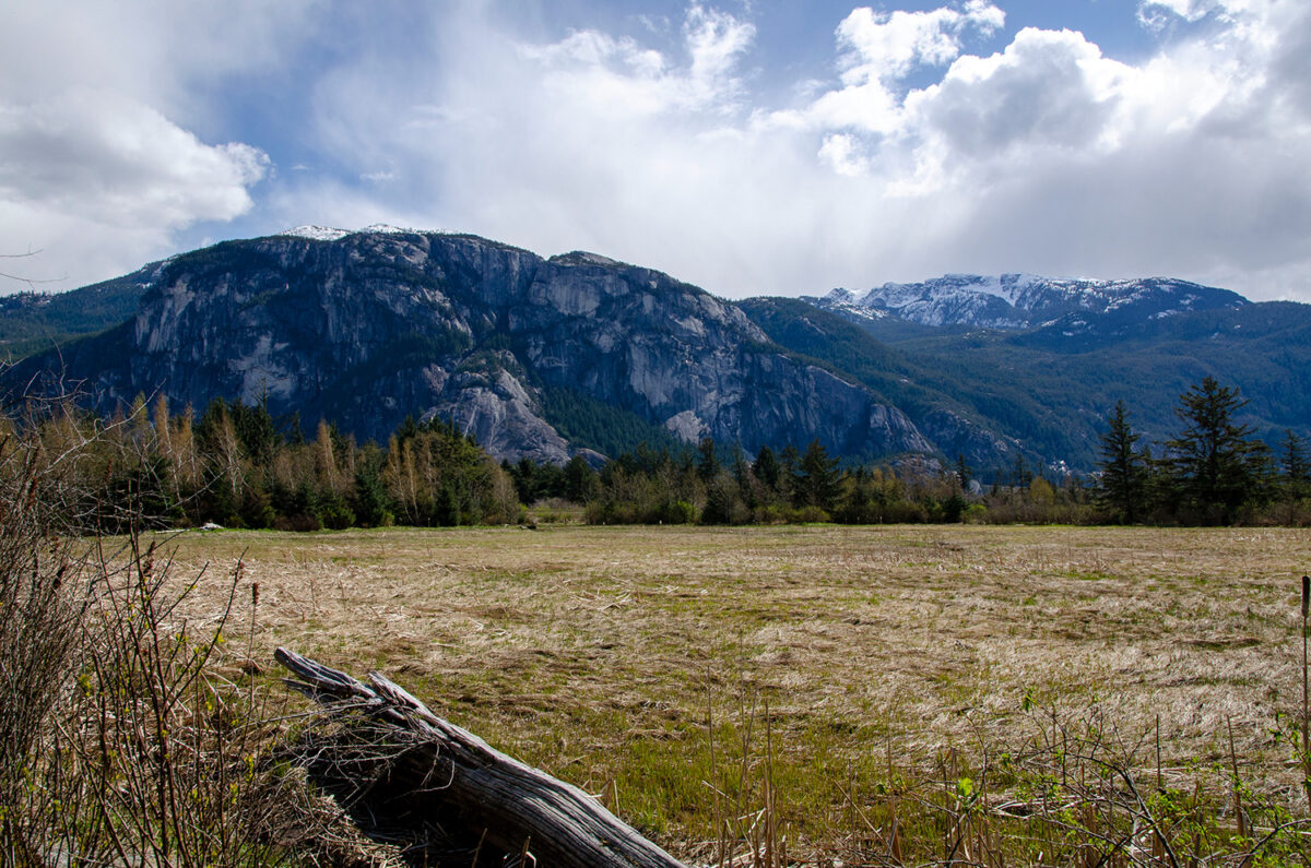 Squamish Estuary