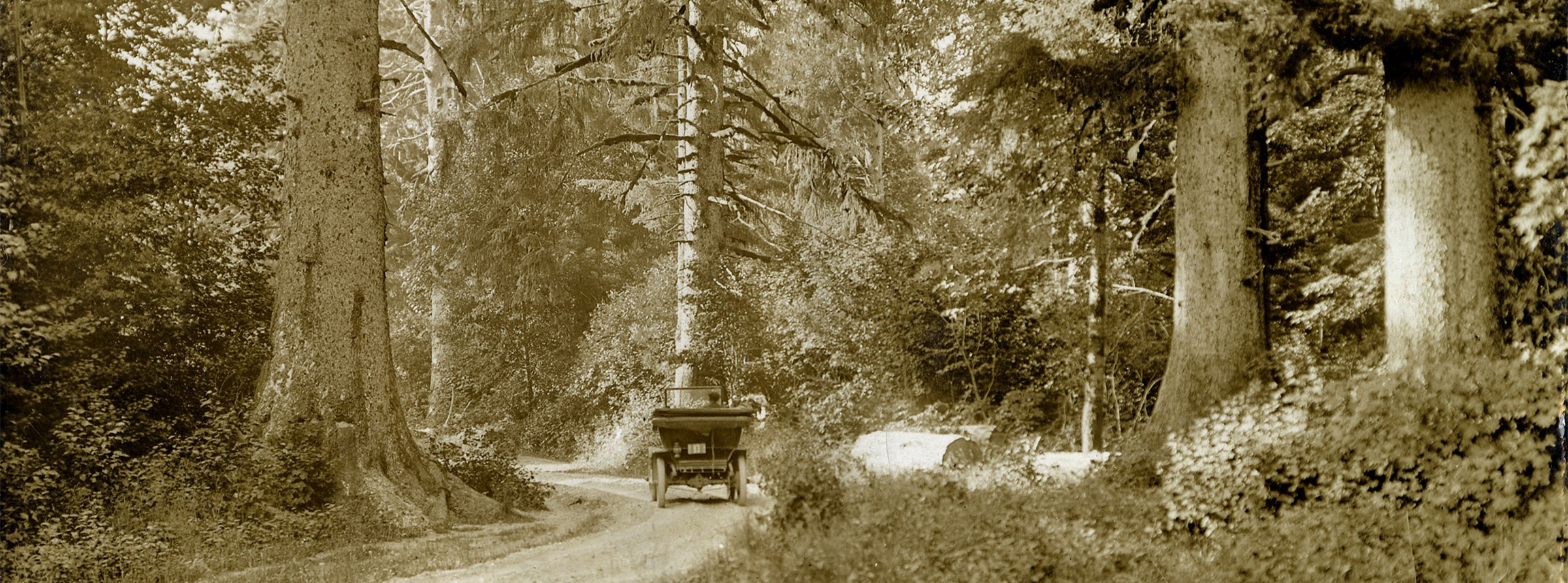 Historical photo of an old car on a dirt road in Dentville, Squamish amongst the Sitka Spruce trees, circa 1910s.