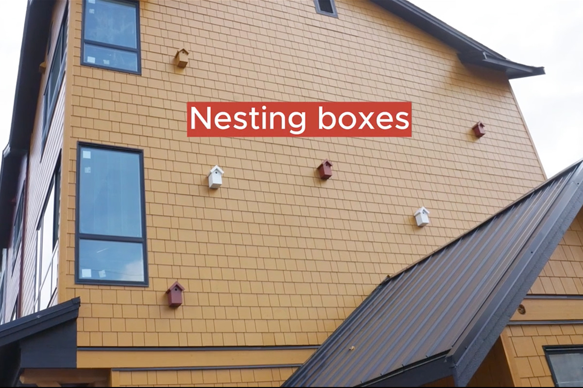 regen homes nesting boxes chickadee lane 1200x800