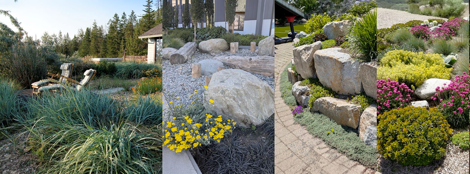 Juniper Landscape Design Inspiration