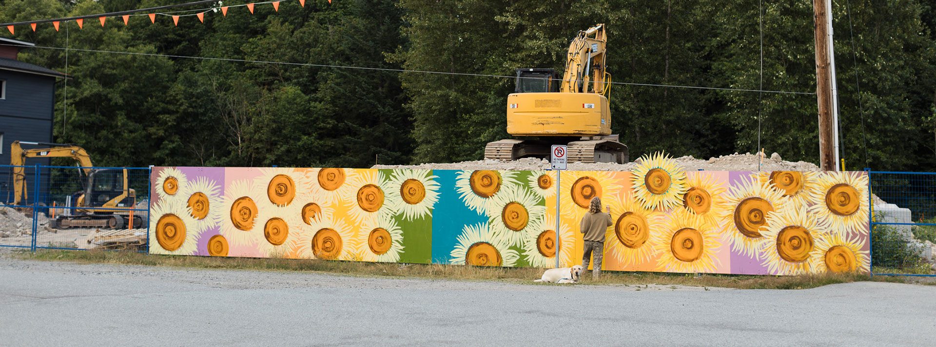 Sarah Keller painting a Sunflower Mural on surrounding construction fence at The Sitkas, commissioned by Regen Homes.