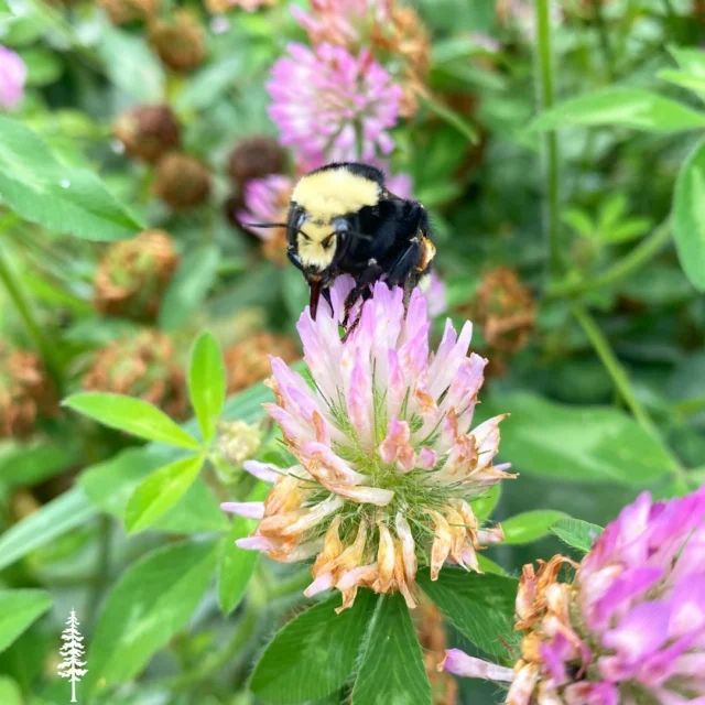 ReGen Builds Ltd. photo 9